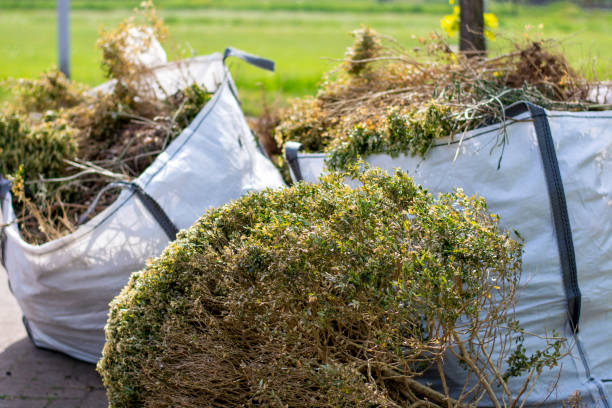 Best Office Junk Removal  in Beloit, OH
